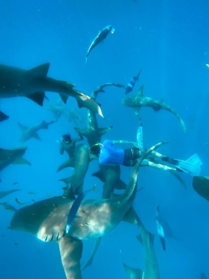 Reef Edge Thulusdhoo, Maldives Hotel Екстериор снимка