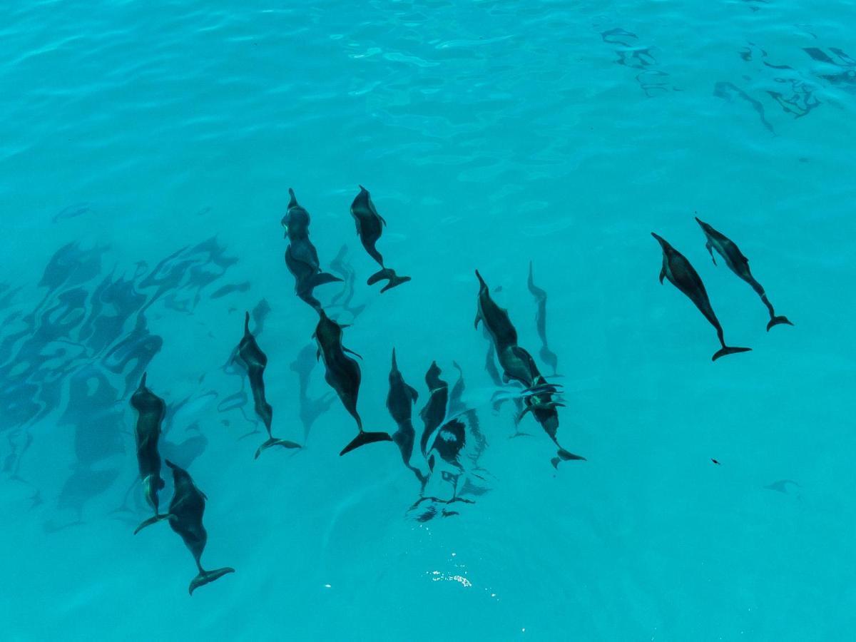 Reef Edge Thulusdhoo, Maldives Hotel Екстериор снимка