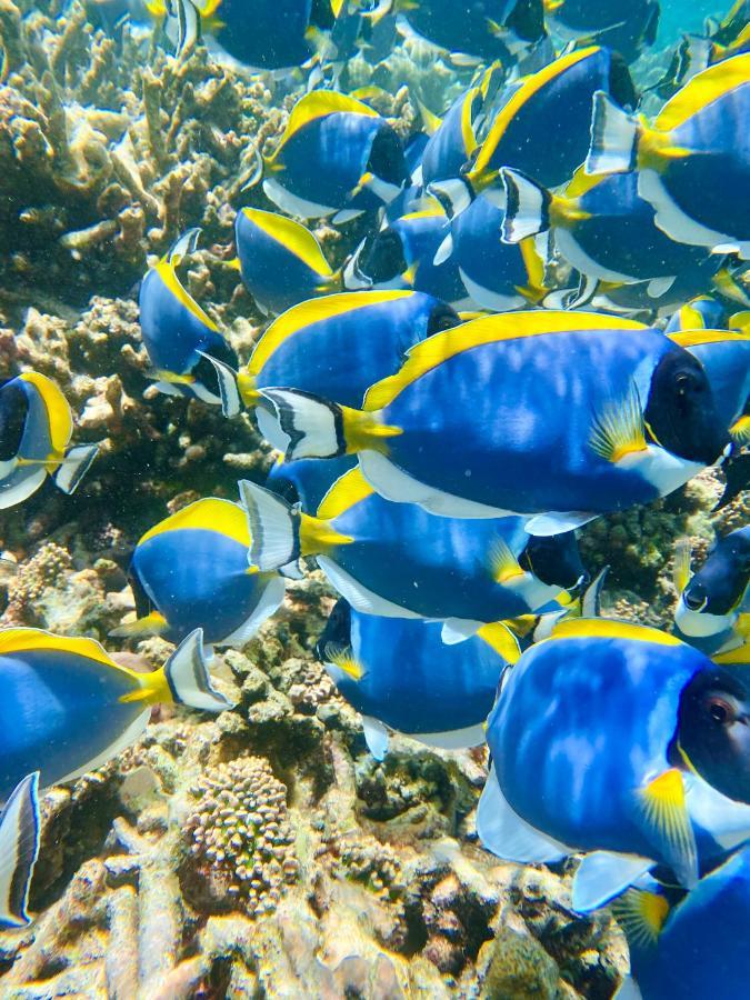 Reef Edge Thulusdhoo, Maldives Hotel Екстериор снимка