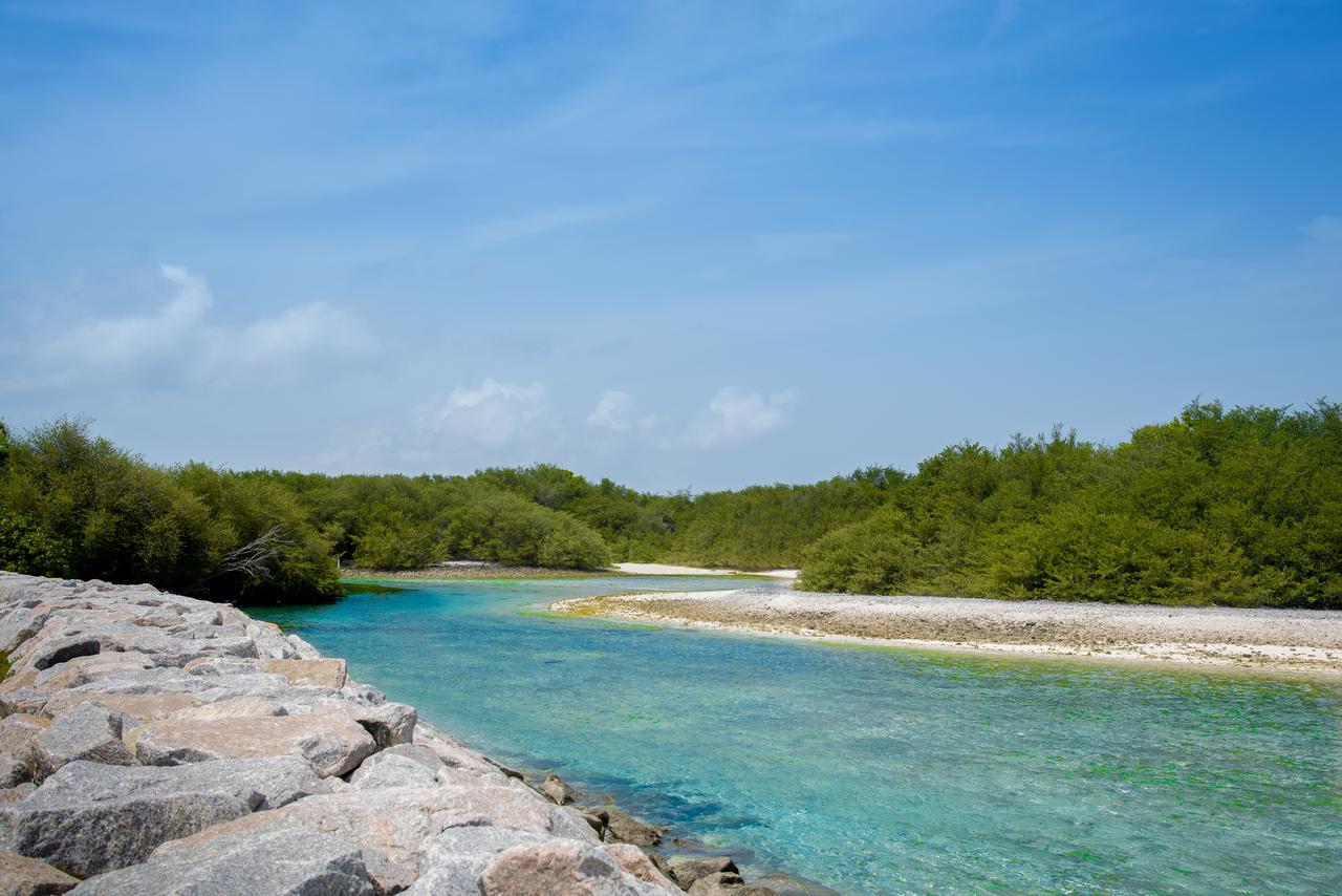 Reef Edge Thulusdhoo, Maldives Hotel Екстериор снимка